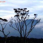 mount singgalang