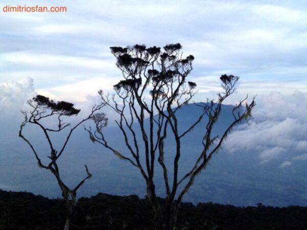 mount singgalang