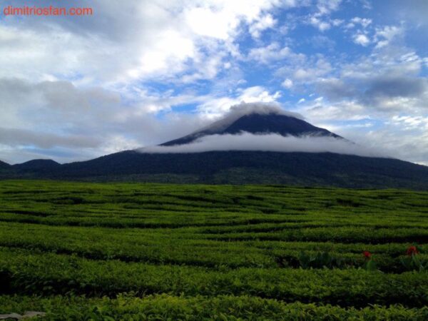 beautiful view of mount kerinci from kersik tua