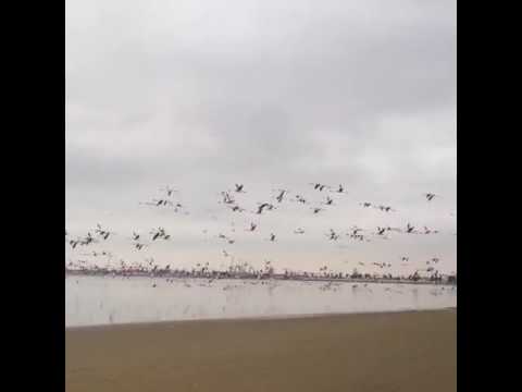 Photos: Walvis Bay, Namibia (2014)