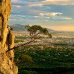 small tree hanging on cliff over athens