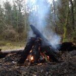 bonfire in forest in lithuania