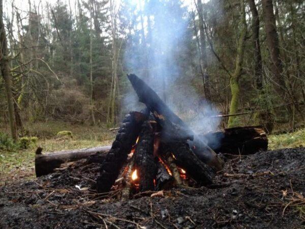 bonfire in forest in lithuania