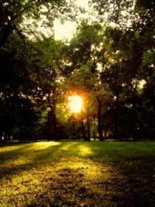 sunset in bratislava park