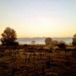 sunrise over fields in northern greece