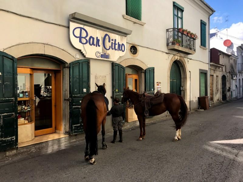 man with two brown horses walking through the streets of fisciano town in campania, Italy