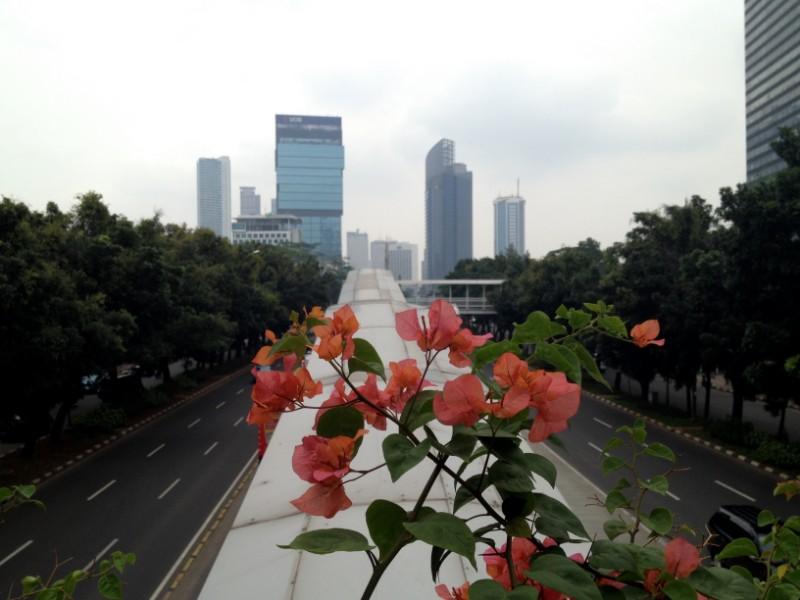 flowers and skyscrapers jakarta