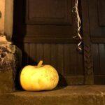 pumpkin in front of wooden door - konigstein saxony photos