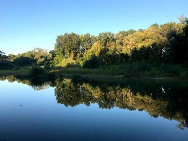 Beautiful morning view of metauro river