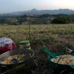 bush dinner with great mountain view near poggio san marcelo village in marche italy