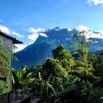 welcome to the junge, jungle jack's backpackers and mount kinabalu