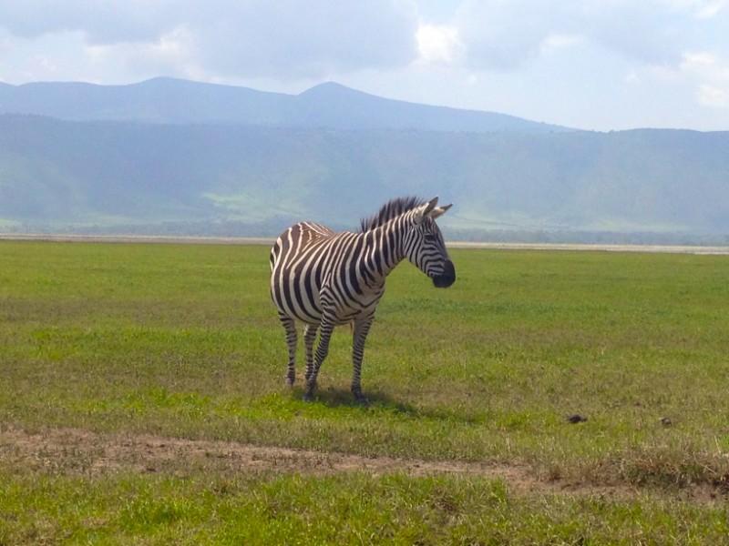 Photos: Ngorongoro Conservation Area, Tanzania (2015)
