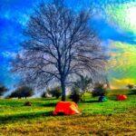 red tent under naked tree in ozora festival