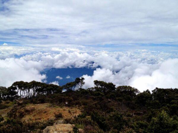 Climbing Mount Rantemario in Latimojong Mountains in Sulawesi