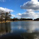 beautiful winter image of lake in richmond park, london