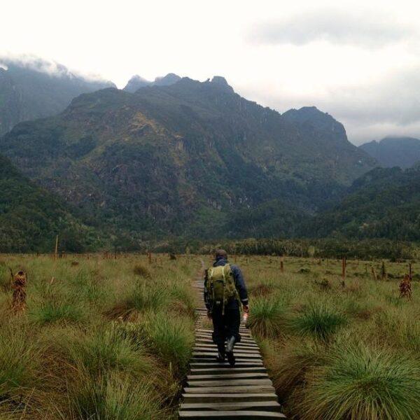 Photos: Rwenzori Mountains, Uganda/Congo (2015)