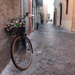 bicycle with pink flowers in basket on narrow paved road in senigallia, marche,italy