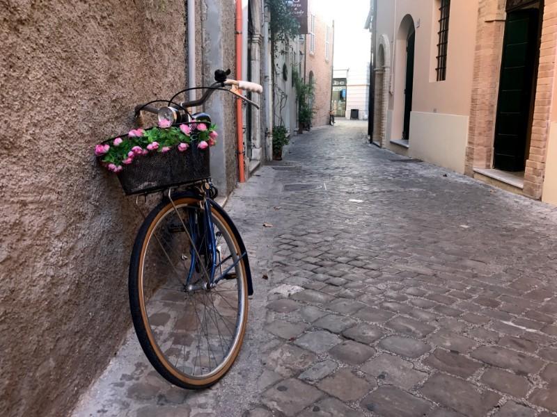 bicycle with pink flowers in basket on narrow paved road in senigallia, marche,italy