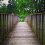 pretty wooden bridge in the forest, skarhult, skane, Sweeden