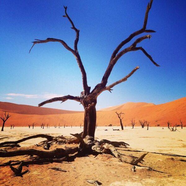 Photos: Sossusvlei, Namibia (2014)