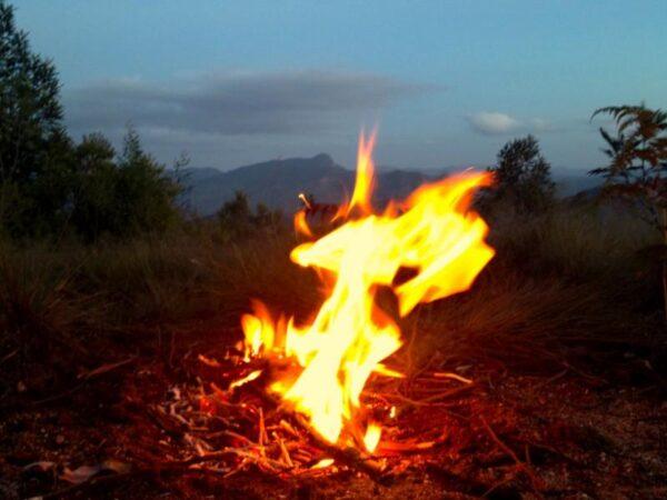 Photos: Usambara Mountains, Tanzania (2015)