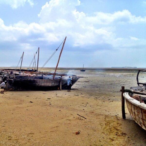 Photos: Zanzibar South, Tanzania (2015)