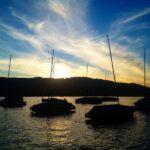 sunset over zurich lake and sailboats