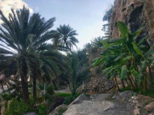 Photos: Misfat Al Abriyeen, Oman (2019)
