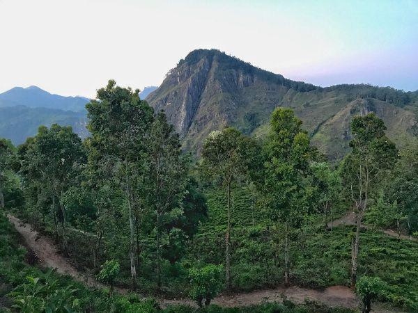 little adam's peak peak sunrise hike and nine arch bridge