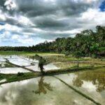 renting motorbike in donsol sorsogon philippines