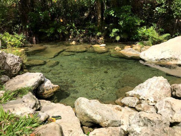 Locong Falls and Kawasan Falls on Siquijor Island done together | The ...