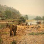 mae kok river chiang rai thailand motorbike ride