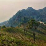 doi pha tang mountain hike chiang rai