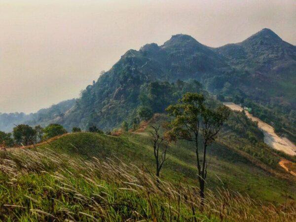 doi pha tang mountain hike chiang rai