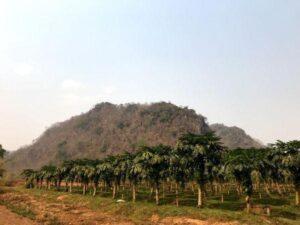 ban pang kong village chiang rai thailand photos