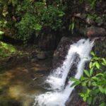 Photos: Ton Tham Waterfall, Phangnga Province, Thailand (2020)