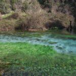 blue-eye-albania