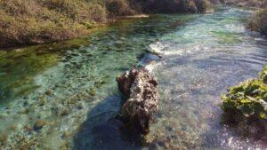 blue-eye-vlora-county-albania-2021