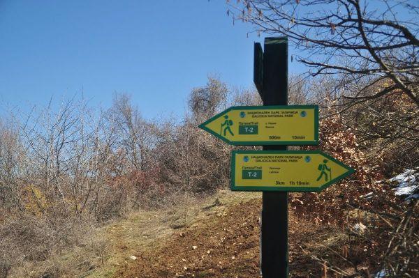 ramne-galicica-national-park-noth-macedonia-2021