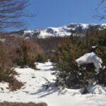 ramne-galicica-national-park-noth-macedonia-2021