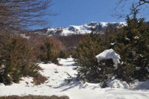 ramne-galicica-national-park-noth-macedonia-2021