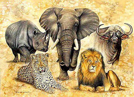 Τα 14 πιο Επικίνδυνα Ζώα της Αφρικής - που μάλλον δεν είναι αυτά που νομίζεις