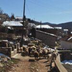 velestovo-galicica-national-park-noth-macedonia-2021