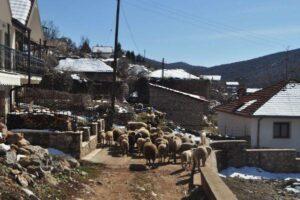 velestovo-galicica-national-park-noth-macedonia-2021