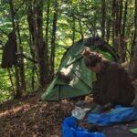 shikahogh forest armenia photos