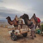 Photos: Uçhisar, Cappadocia, Turkey (2021)