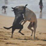 Photos: Zipolite Beach, Mexico (2022)