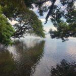 Photos: La Gloria, Ometepe, Nicaragua (2022)