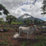 Photos: San Marcos, Ometepe, Nicaragua (2022)