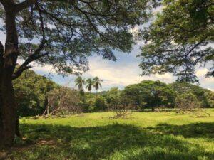 Photos: Tola, Nicaragua (2022)